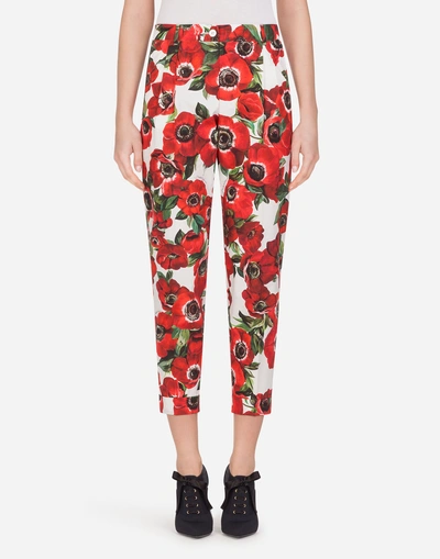 Shop Dolce & Gabbana Anemone-print Cotton Pants In Floral Print