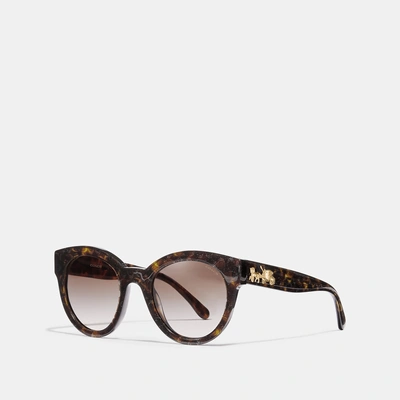 Shop Coach Signature Round Sunglasses In Tortoise Glitter Sig C