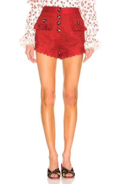Shop Self-portrait Crochet Lace Shorts In Rust