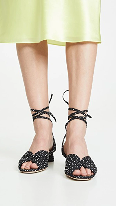 Shop Loeffler Randall Leia Ankle Wrap Low Sandals In Black/cream