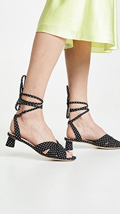 Shop Loeffler Randall Leia Ankle Wrap Low Sandals In Black/cream