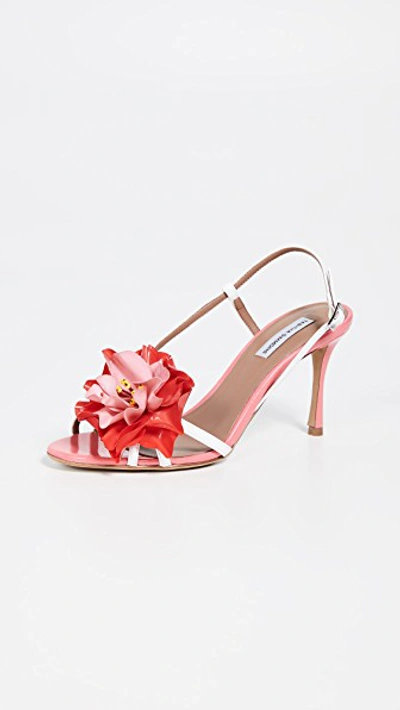 Shop Tabitha Simmons Peony Slingback Sandals In White/pink