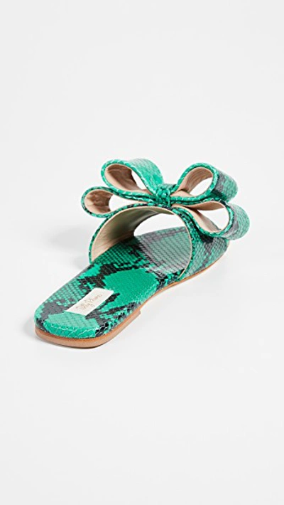 Shop Polly Plume Lola Bow Slides In Jade