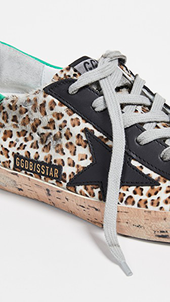 superstar leopard