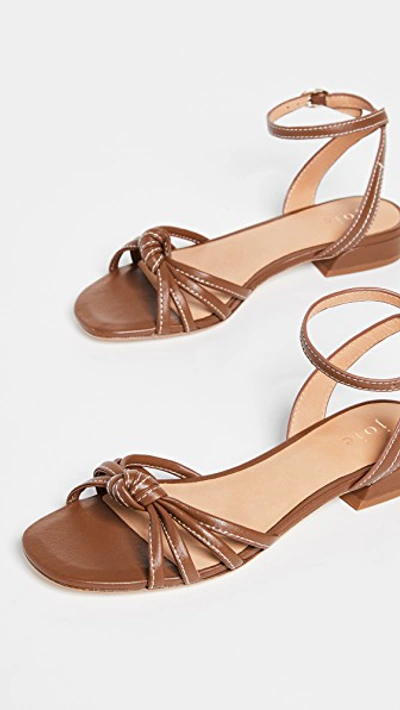 Shop Joie Parsin Ankle Strap Sandals In Tan
