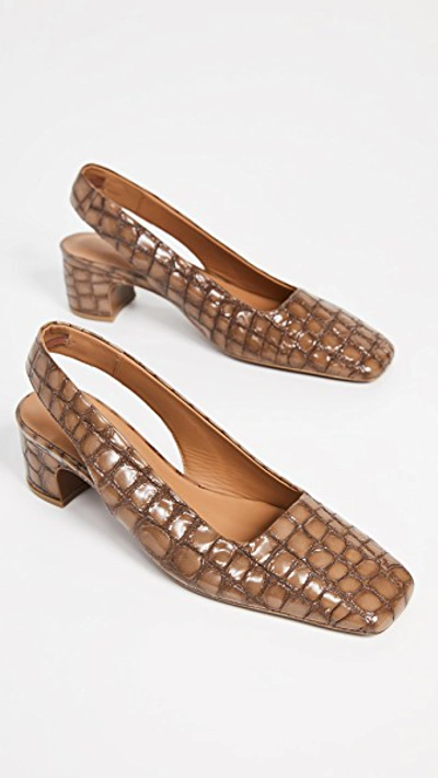By Far Danielle Slingback Pumps In Brown Croco ModeSens