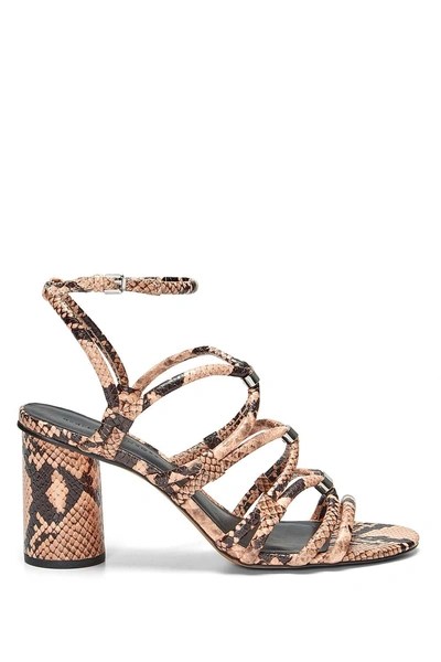 Shop Rebecca Minkoff Snakeskin Strappy Heels | Apolline Too Sandal Heels|  In Rosewood