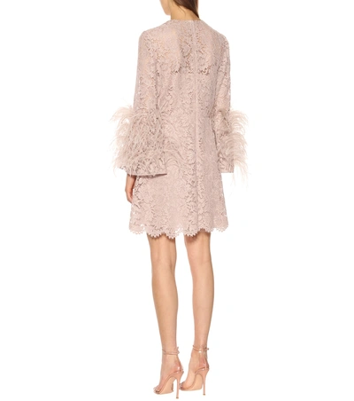 Shop Valentino Feather-trimmed Lace Minidress In Pink