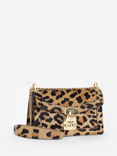 Shop Miu Miu Women's Multicolor Animal Print Cofidential Calf Hair Bag