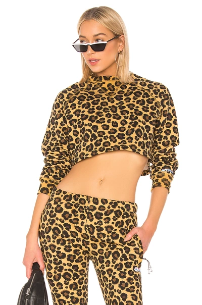 Shop Adam Selman Cropped Sweatshirt In Honey Leopard