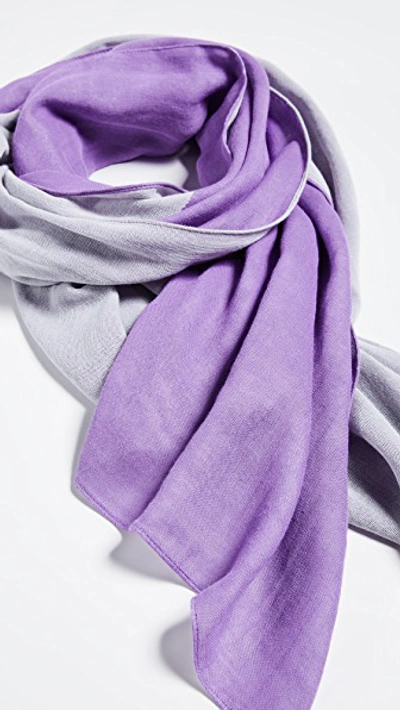 Shop Rebecca Minkoff Dyed Oblong Scarf In Purple