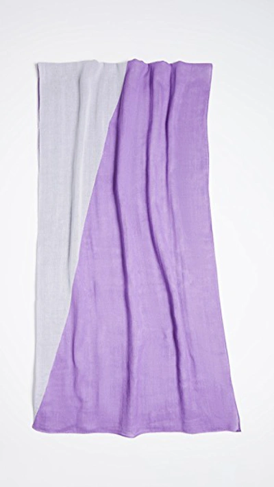 Shop Rebecca Minkoff Dyed Oblong Scarf In Purple