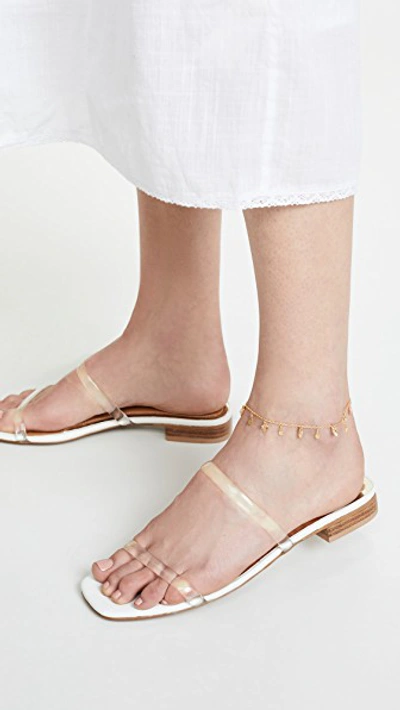 Shop Chan Luu Shell Anklet In Yellow Gold