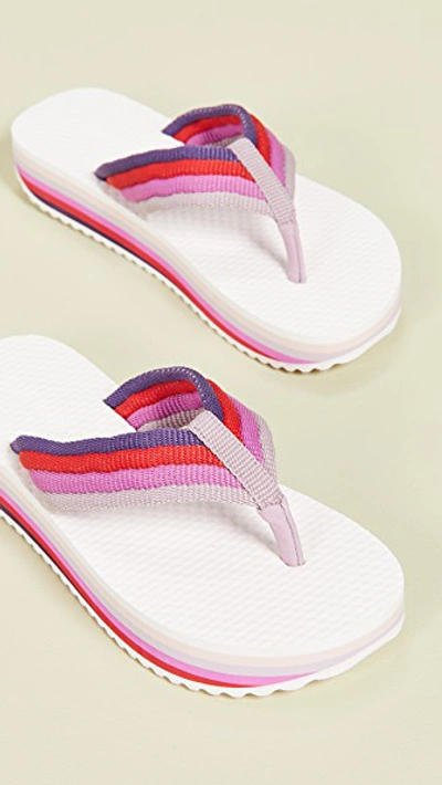 Shop Zimmermann Rainbow Flip Flops In Berry Multi