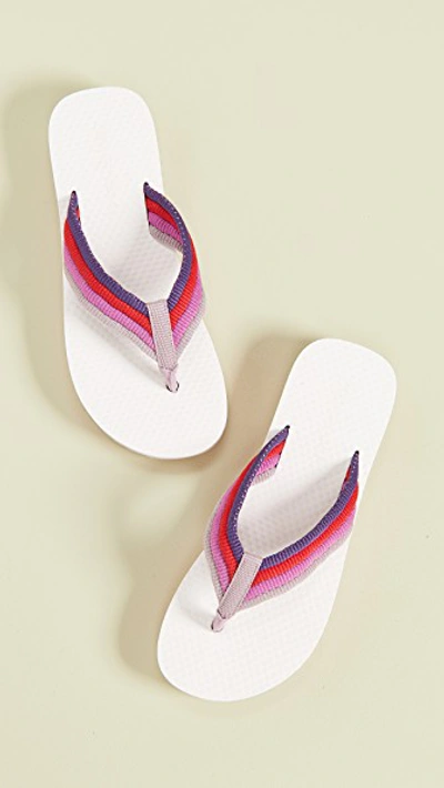 Shop Zimmermann Rainbow Flip Flops In Berry Multi