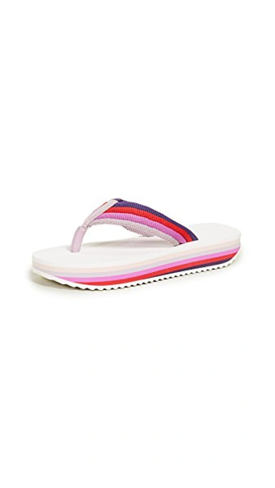 Shop Zimmermann Rainbow Flip Flops In Berry Multi