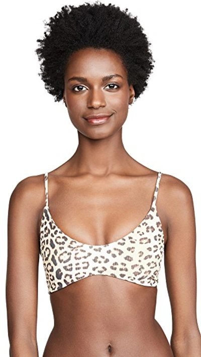 Shop Boys + Arrows Jackson Bikini Top In Feline