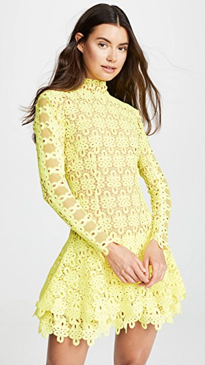 Shop Jonathan Simkhai Guipure Lace Mini Dress In Neon Yellow