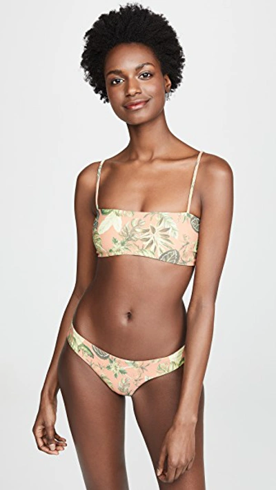 Shop Boys + Arrows Clairee Bikini Bottoms In Flamingo