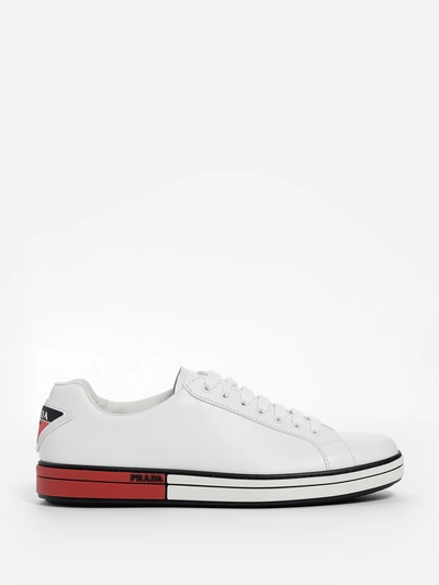 Shop Prada Sneakers In White