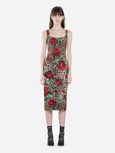 Shop Dolce & Gabbana Dresses In Multicolor