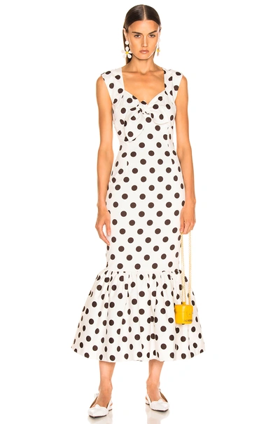 Shop Rebecca De Ravenel Tie Front Tulip Dress In White & Chocolate Dots