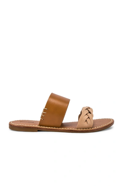 Shop Soludos Braided Slide Sandal In Acorn Brown