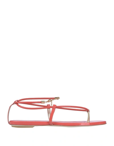 Shop Loriblu Flip Flops In Coral