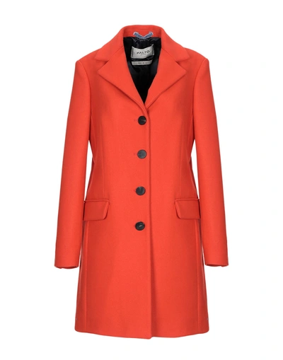 Shop Paltò Coats In Orange