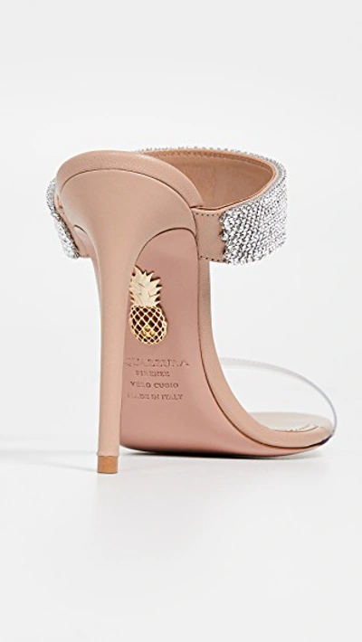 Shop Aquazzura Spritz 105mm Plexy Mules In Powder Pink