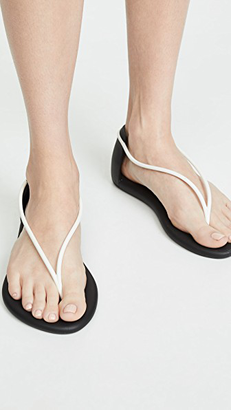 ipanema starck thing n thong sandal