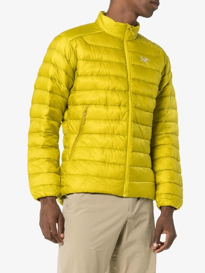 Shop Arc'teryx Yellow Cerium Padded Jacket In Green