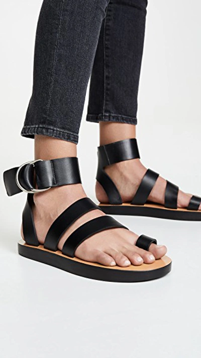 Shop Iro Baby Toe Ring Sandals In Black