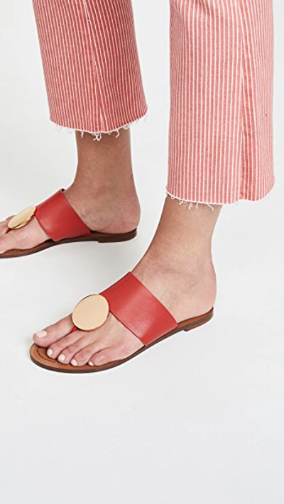Shop Tory Burch Patos Disk Sandals In Brilliant Red/gold