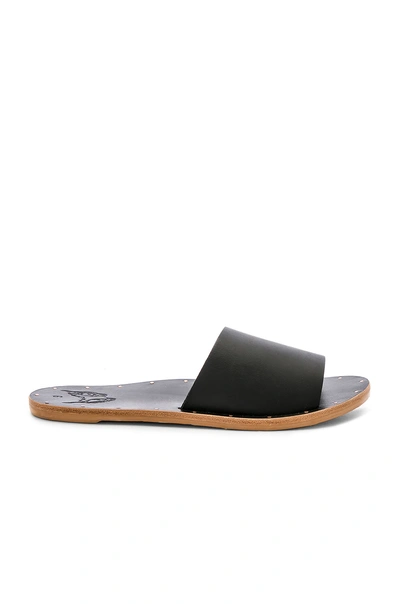 Shop Beek Mockingbird Sandal In Black
