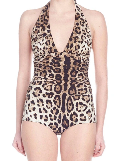 Shop Dolce & Gabbana Leopard Print Swimsuit In Multi