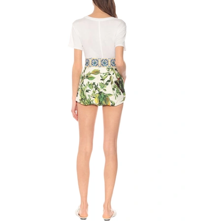 Shop Dolce & Gabbana High-rise Printed Cotton Shorts In Multicoloured