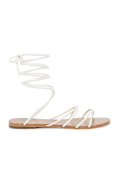 Shop Raye Collette Sandal In White
