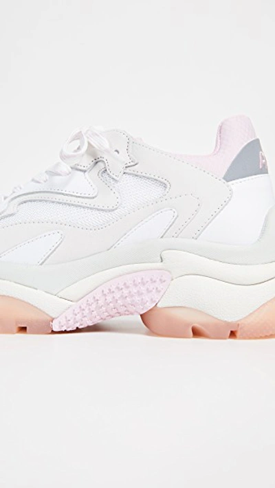 Shop Ash Addict Sneakers In White/dragon White/white/pink/