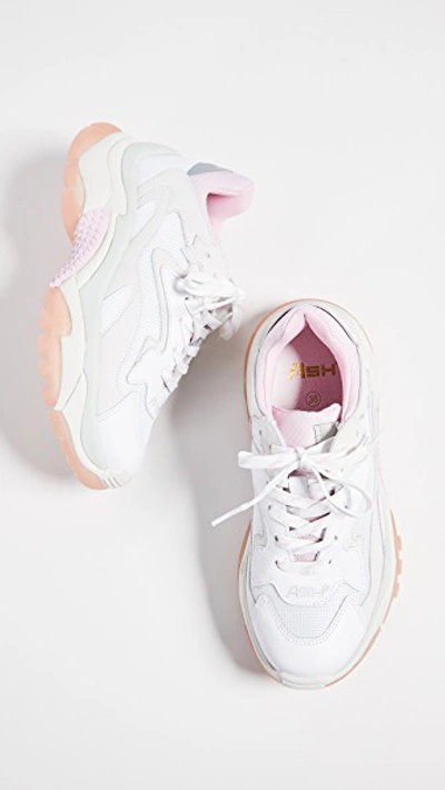 Shop Ash Addict Sneakers In White/dragon White/white/pink/