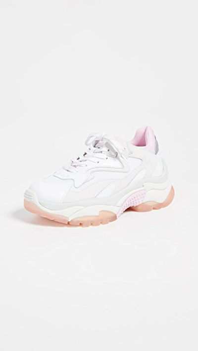Shop Ash Addict Sneakers In White/dragon White/white/pink/