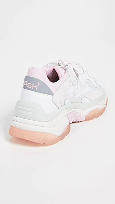 Shop Ash Addict Sneakers In White/dragon White/white/pink/