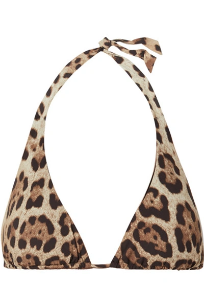 Shop Dolce & Gabbana Leopard-print Halterneck Bikini Top In Leopard Print