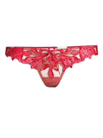 Shop Fleur Du Mal Lily Lace Thong In Red Poppy