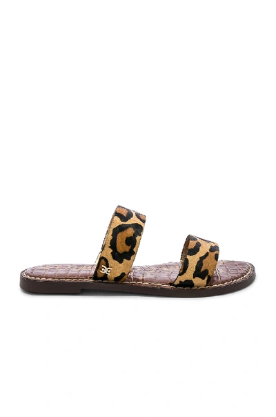 Shop Sam Edelman Gala Sandal In New Nude Leopard