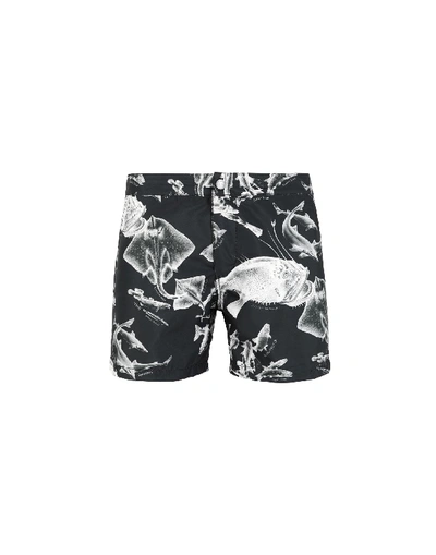 Shop Riz Boardshorts Swim Shorts In Black