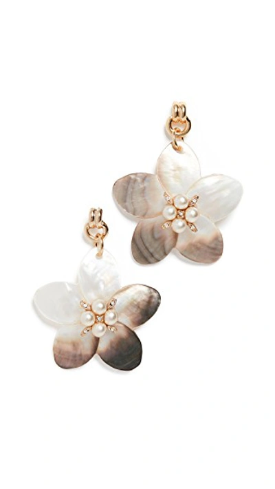 Shop Brinker & Eliza Muse Earrings In Gold/pearl