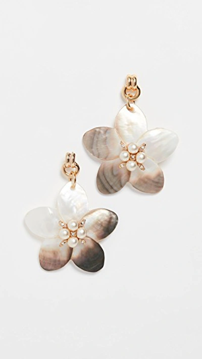 Shop Brinker & Eliza Muse Earrings In Gold/pearl