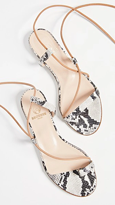 Shop Brother Vellies Selma Sandals In Python