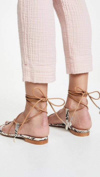 Shop Brother Vellies Selma Sandals In Python